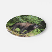 アルファブラックベア ペーパープレート (アングル)