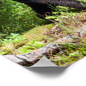 アルファブラックベア ポスター (角)