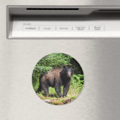 アルファブラックベア マグネット (インサイチュ (食洗機))