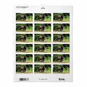 アルファブラックベア ラベル (フルシート)