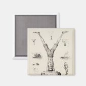 アルファベットのプライマーからの文字Y マグネット (正面/裏面)