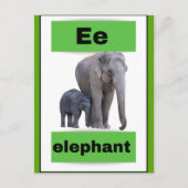 アルファベットカード(実在写真付き)休日はがき シーズンポストカード (正面)