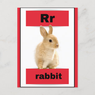 アルファベットカー実在ド(写真付) シーズンポストカード