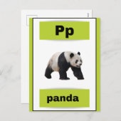 アルファベットカー実在ド(写真付) シーズンポストカード (正面/裏面)