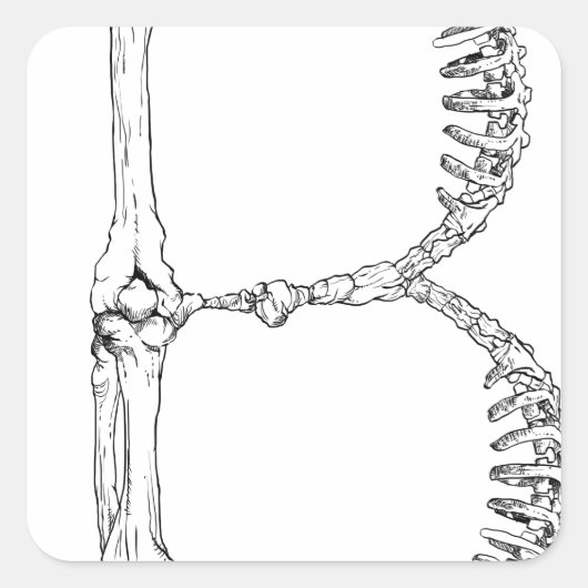 アルファベットボーン文字B スクエアシール (正面)