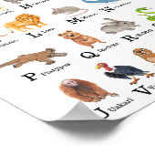 アルファベット動物A - Z教育教室 ポスター (角)