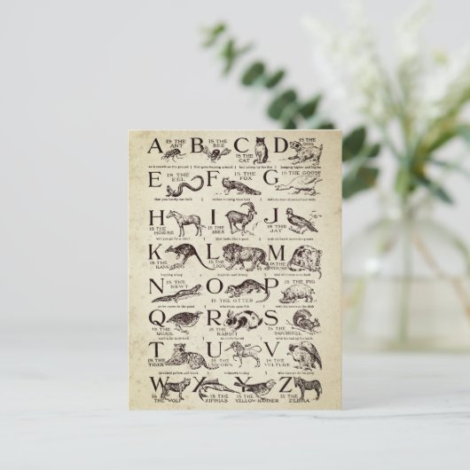 アルファベット子供部屋グラフヴィンテージ ポストカード (スタンド正面)