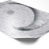 アルファベット文字写真E4白黒4x6 フォトプリント (角)