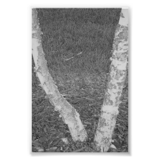 アルファベット文字写真V3白黒4x6 フォトプリント (正面)