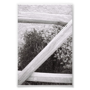 アルファベット文字写真Z2白黒4x6 フォトプリント