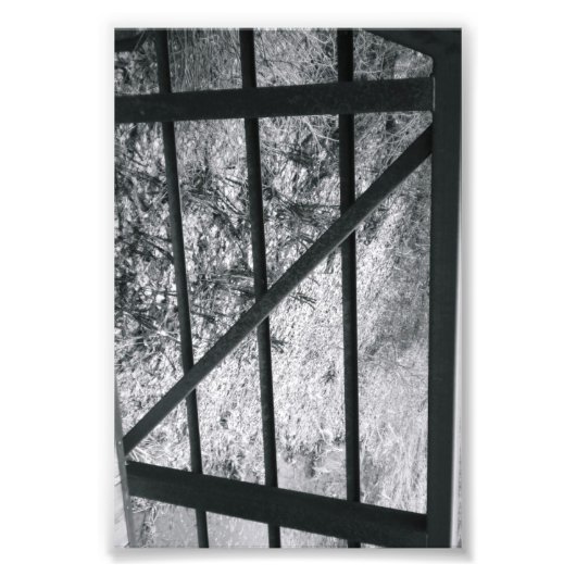 アルファベット文字写真Z4白黒4x6 フォトプリント (正面)