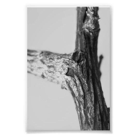 アルファベット文字撮影Y8白黒4x6 フォトプリント (正面)