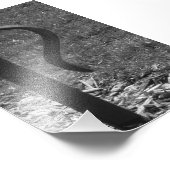 アルファベット文字R1白黒4x6 フォトプリント (角)