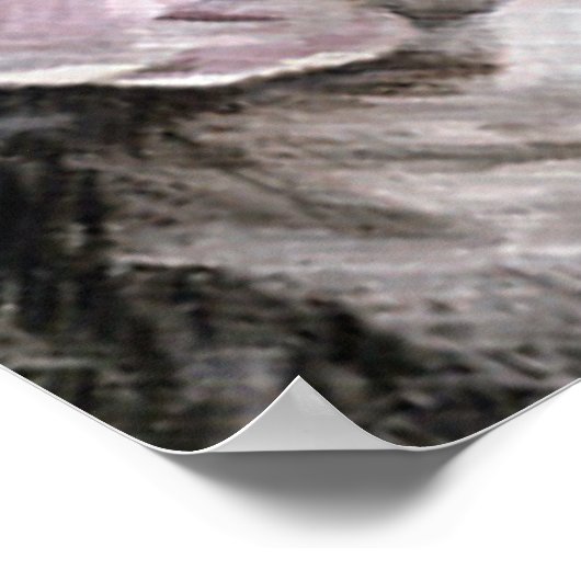 アルファペア ポスター (角)