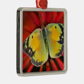 アルファルファバタフライオンコーンフラワー メタルオーナメント (右)