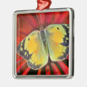 アルファルファバタフライオンコーンフラワー メタルオーナメント (左)