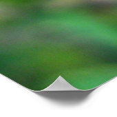 アルファルファ花 ポスター (角)