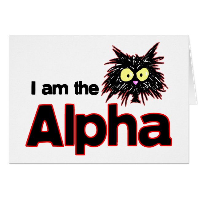 アルファ猫 (正面横)