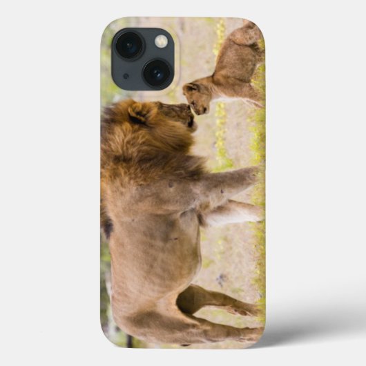 アルファ雄ライオンが子ライオンを検査 Case-Mate iPhoneケース (裏面)