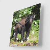 アルファ・ブラック・ベア スクエア壁時計 (傾斜)