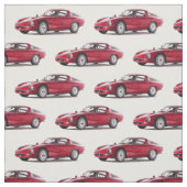 アルファ・ロメオTZ2の生地 ファブリック (見本)