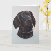 アルフィー カード (黄色い花)