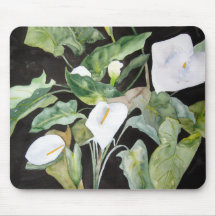 アルフォムブリラトンアルカトラスアンアクアレラ