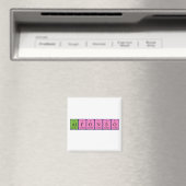 アルフォンソ周期表名磁石 マグネット (インサイチュ (食洗機))