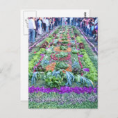 アルフォンブラ16 ポストカード (正面/裏面)