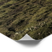 アルフタバトンキャンサイト ポスター (角)