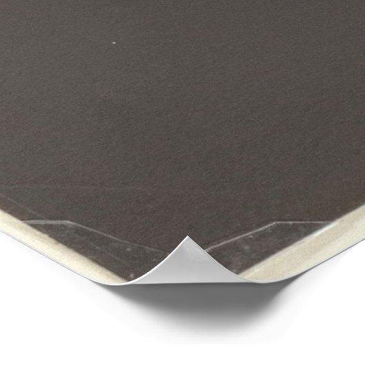 アルフレッドスティグリッツジョージアオキーフェポートレート ポスター (角)