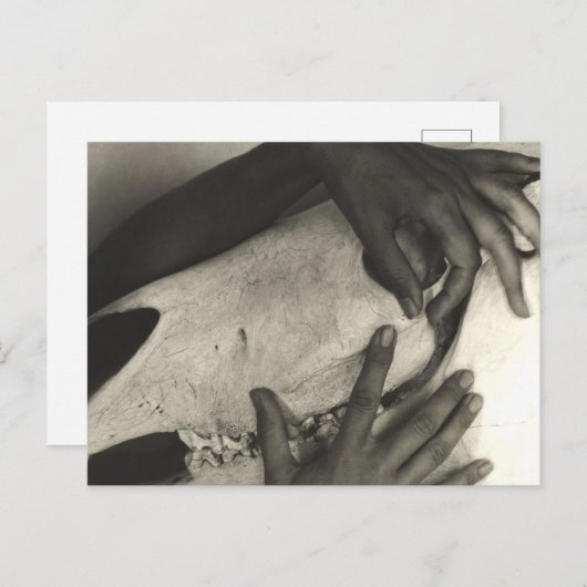 アルフレッド・スティエグリッツ – ジョージア・オキーフェ – Hands And Ho ポストカード (正面/裏面)