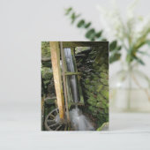 アルフレッド・レーガンズ・ミル ポストカード (スタンド正面)