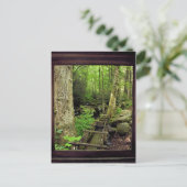 アルフレッド・レーガンズ・ミル ポストカード (スタンド正面)