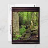 アルフレッド・レーガンズ・ミル ポストカード (正面/裏面)