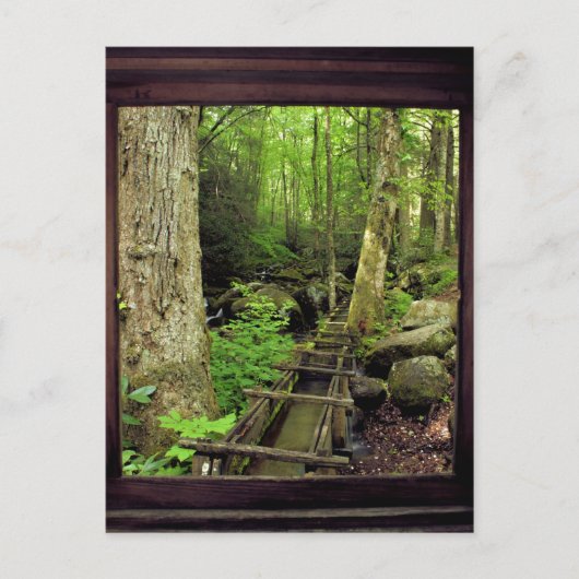 アルフレッド・レーガンズ・ミル ポストカード (正面)