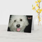 アルフ!! カード (黄色い花)