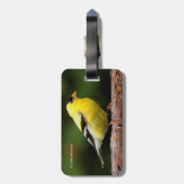 アルブトゥス川のアメリカ人の金魚 ラゲッジタグ (裏面縦)