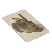 アルブレクテデュラー – ヘア マグネット (右側)