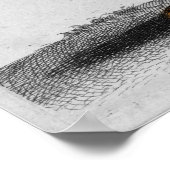 アルブレチドゥラーカラー版木、銅版、版画ライオン ポスター (角)