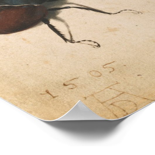 アルブレチドゥラースターカブライトルネッサンスヴィンテージアート ポスター (角)