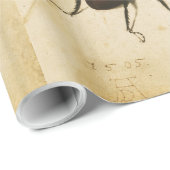 アルブレチドゥラースターカブライトルネッサンスヴィンテージアート ラッピングペーパー (ロールコーナー)