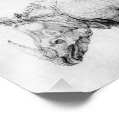 アルブレチドゥラーライノセロス フォトプリント            (角)