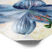 アルブレチドゥラー – ユリの勉強 フォトプリント            (角)