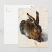 アルブレッチデュラヤングヘア ポストカード (正面/裏面)