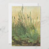 アルブレッ素晴らしチ・デュラーの大きなターフ (正面)