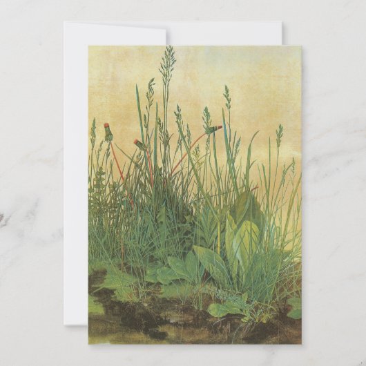 アルブレッ素晴らしチ・デュラーの大きなターフ (正面)