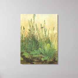 アルブレッ素晴らしチ・デュラーの大きなターフ キャンバスプリント