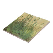 アルブレッ素晴らしチ・デュラーの大きなターフ タイル (側面)