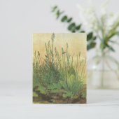 アルブレッ素晴らしチ・デュラーの大きなターフ ポストカード (スタンド正面)